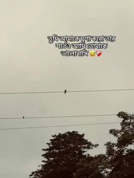 তুমি আমাকে ঘৃণা করো তার শর্তেও আমি তোমাকে ভালোবাসি 😅❤️‍🩹#funnyvideos #trending #fuuuuuuuuuuuupppppppppppppp 