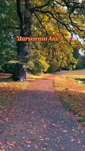 #atasızhəyat🥀 #atasızdünyam çox darıxmışam Ata...🥀😔