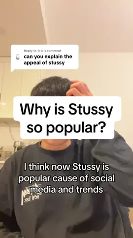 Replying to @☆☆ TLDR, social media, fashion trends, and long historical streetwear presence is what makes Stussy so big and popular today but I was a skater boy who loved streetwear back in HS that’s why I still wear it now #thoughts #rysenseii #stussy #yap 