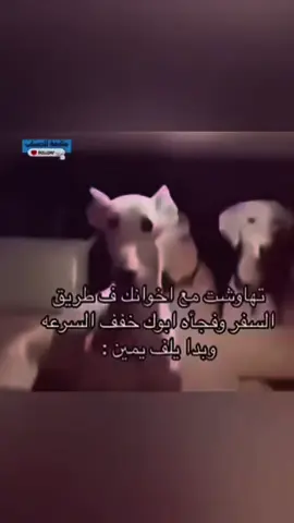 😖😖#الوطن_العربي_تيك_توك #الشعب_الصيني_ماله_حل😂😂 #مالي_خلق_احط_هاشتاقات #ميمز #ضحك😂 