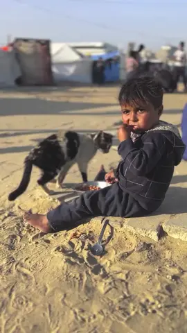 free Palestine 🇵🇸🇵🇸🇵🇸🥺🇵🇸#palestine #freepalestine #gaza #palestine🇵🇸 #fyp 