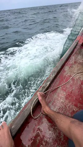 tạm ổn #ghelu13 #danbien #danbien68 #xuhuong #camau 