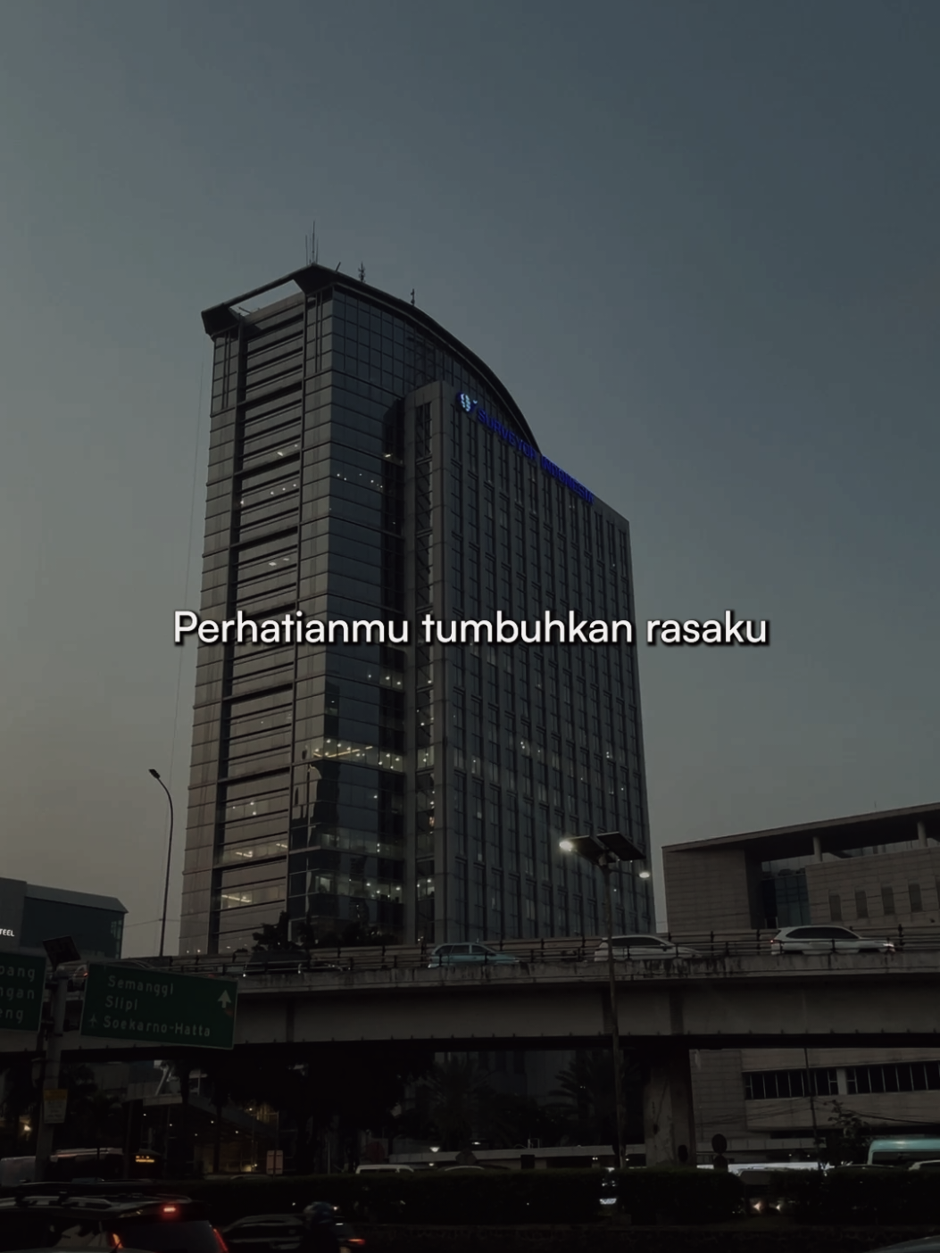 Perhatianmu tumbuhkan rasaku 🥺🥺 #hilangtanpabilang #meiska #musikditiktok 