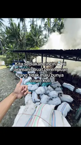 Yang tidak gila laki”#fypage #foryoupage #fypviralシ #xyzbca 