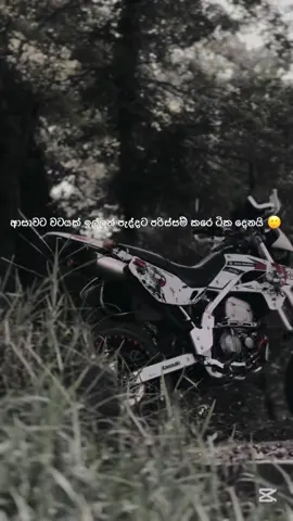 🙂🫶#foryou #100k #viralvideo 