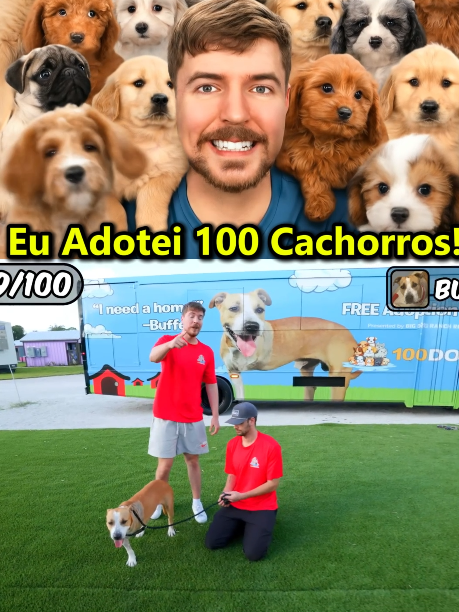 Eu adotei 100 cachorros! #MrBeast #MrBeastBrasil #ParaVocê #Viral#cortes