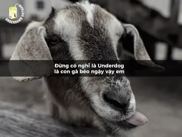 Rapper Lè Nhè - Roberto #underdawg✓ #underdawgvietnam 
