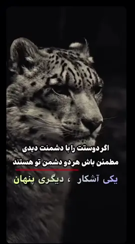 #کوهنوردعایشه #افغانهای_مقیم_امریکا #افغانی_تیک_تاک #بهترین_تیک_تاکر_های_افغانستان #تاجک__اوزبگ__پشتون__هزاره__ترکمن  