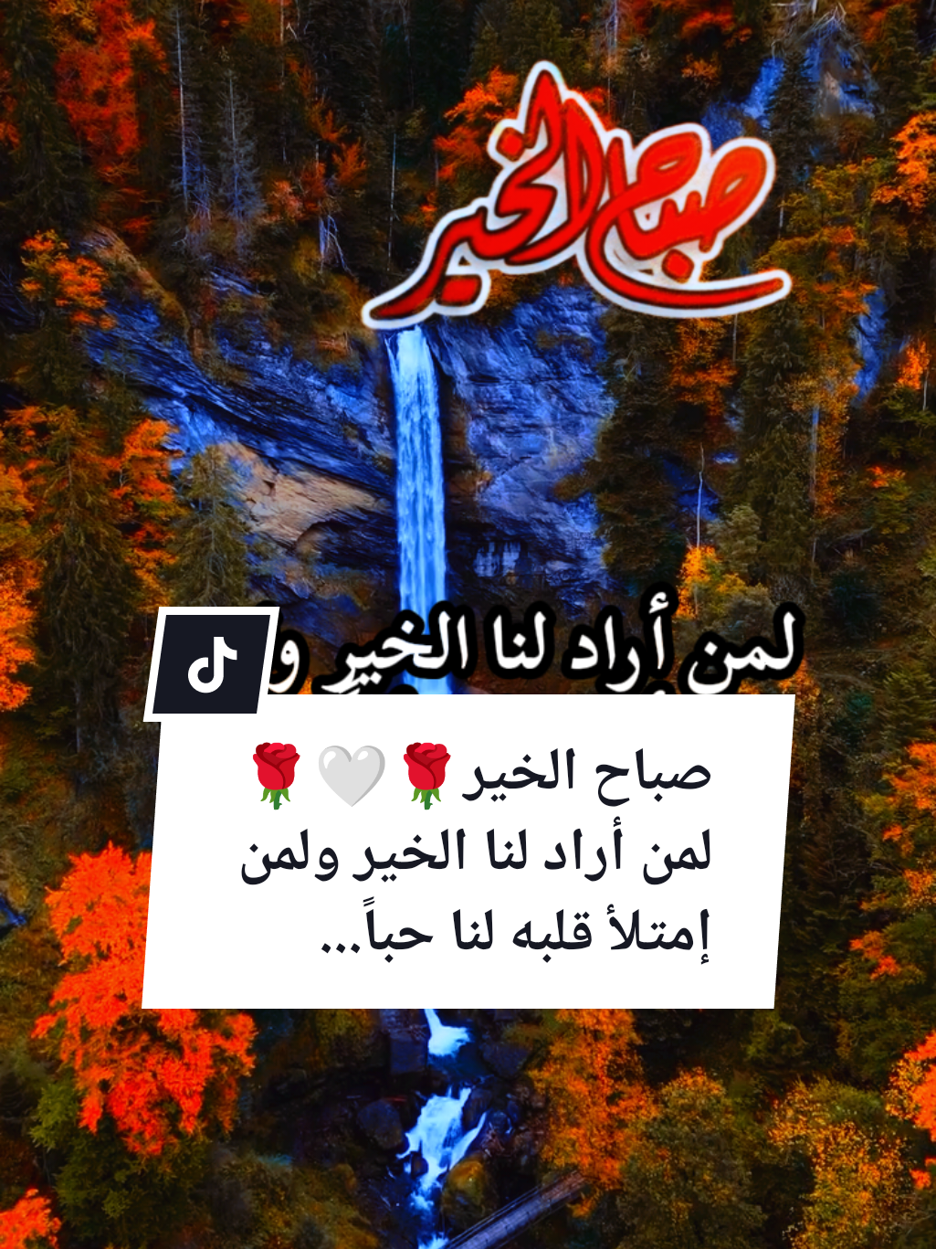 #souzan396 #صباح_الخير  صباح الخير🤍🌹☕لمن أراد لنا الخير ولمن إمتلأ قلبه لنا حباً...