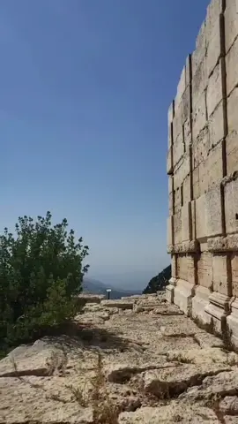 #بشتاقلك لا بقدر شوفك ولا بقدر أحكيك... 