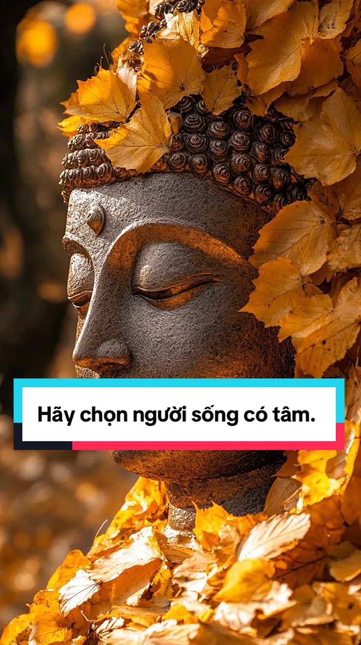Hãy chọn người sống có tâm.#tramyeuthuong #phậtphápnhiệmmầu 
