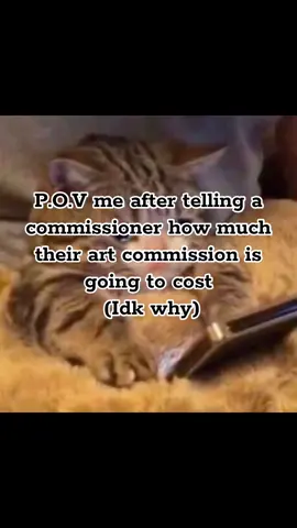 Like what if they say its not worth the price or just ghost me all together! Like genuinely  put myself in panic ever time I send out the price and am waiting for the approval massage form the commissioner 😭😭#relatable #artcommission #artiest