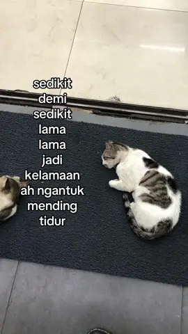 #4u #foyour #fypage #xybca 