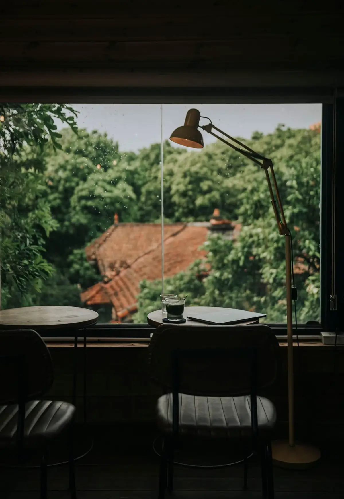 Tranquil Nguyễn Biểu