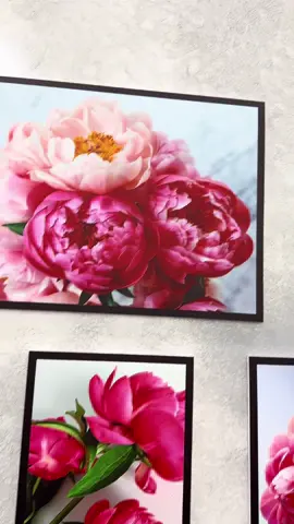 Combo sáu tấm tranh dán tường siêu đẹp giá siêu yêu#tranh3d #tranhtreotuong #tranhdantuong #tranh 