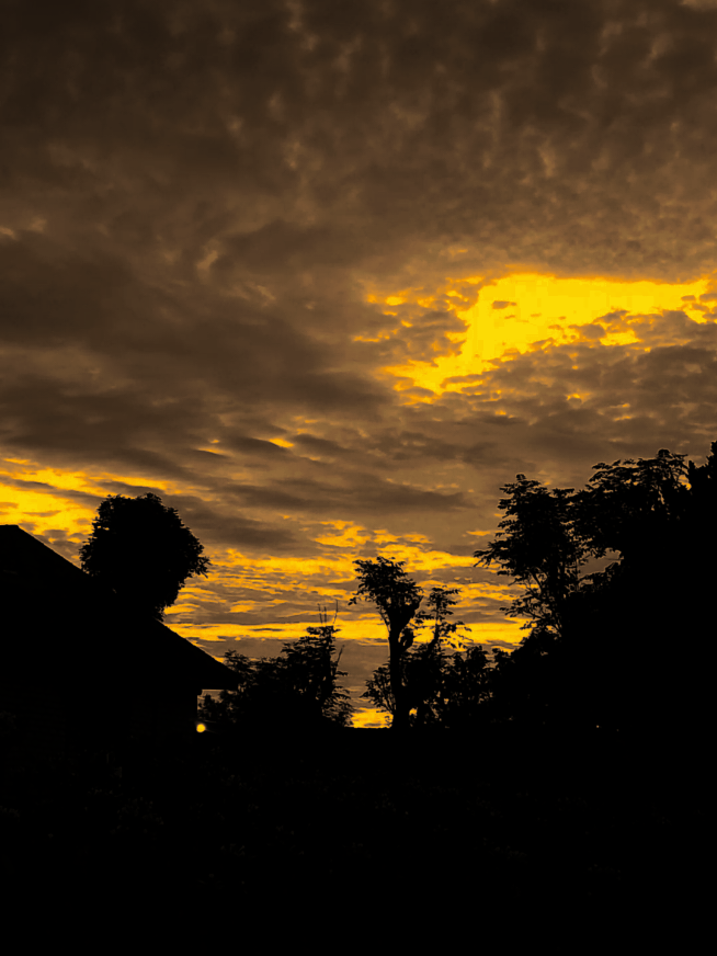 :الله أعلم قلبك إذا ذهب الصباح ليأكل أحسن ما ينتظر 