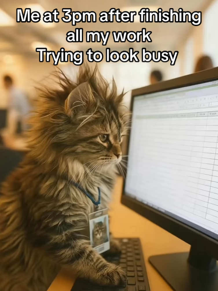 Trying to look busy 🥱#fyp #workhumor #work #catmeme #worklife 