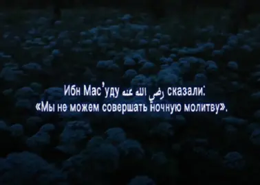 Ибн Мас’уд сказал: «Мы не можем совершать ночную молитву». Он ответил: «Грехи ваши отдалили вас». И сказали аль-Хасану (аль-Басри): «Ночная молитва стала для нас слишком трудной». Он сказал: «Грехи ваши сковали вас?» Аль-Фудлейл (ибн ‘Ияд) сказал: «Если ты не в состоянии стоять для ночной молитвы или поститься днем, то знай, что ты лишен, скован, и грехи твои связали тебя». Аль-Хасан (аль-Басри) также сказал: «Раб может совершить грех, и из-за него он лишается ночной молитвы. Некоторые из саляфов сказали: «Я совершил грех, и из-за него я был лишен ночной молитвы на шесть месяцев». #حق #salaf