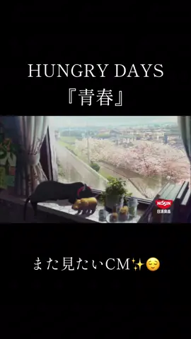 #hungrydays #日清 #カップヌードル #また見たいcm 