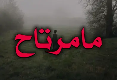 أنا بدونك مامرتاح! #اغاني_مسرعه💥 #اغاني_عراقيه #fyp #explore 