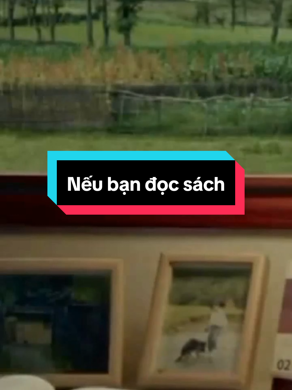 Nếu bạn không đọc sách, bạn chỉ sống 1 đời. Nếu bạn đọc sách, bạn sống bằng trải nghiệm của hàng ngàn đời. #phattrienbanthan #dongluc #postcard #gaplaichinhminh #cuocsong 