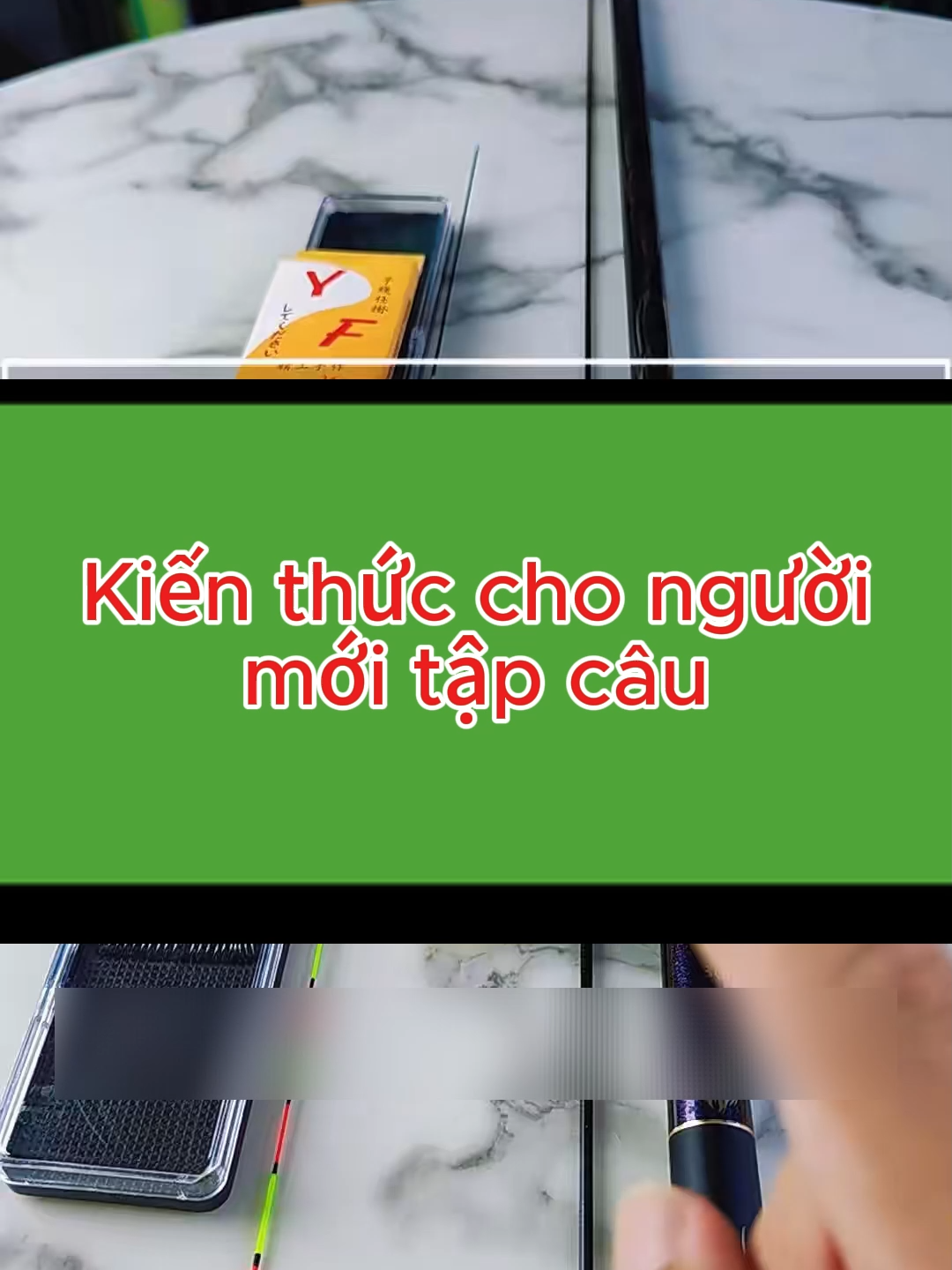 Kiến thức câu cá cho người mới#hkfishing #caudai #caucagiaitri