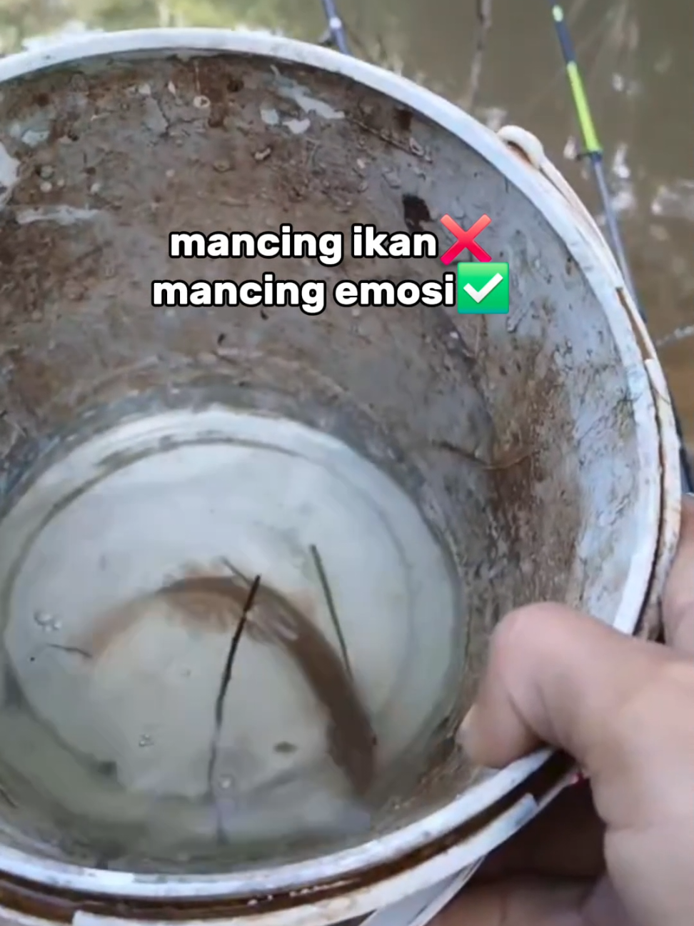 🗿 #mancing #livehighlights #mancingsungai #apfishing🎣 