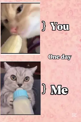 🫠🫢#growmyaccount #fyp #foryou #foryoupage #viralvideo @TikTok Bangladesh 