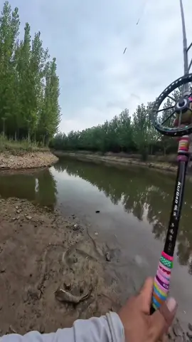 👍👍👍 #xuhuongtiktok #trendingvideo #câucagiaitri #câucá #fishingtiktoks 