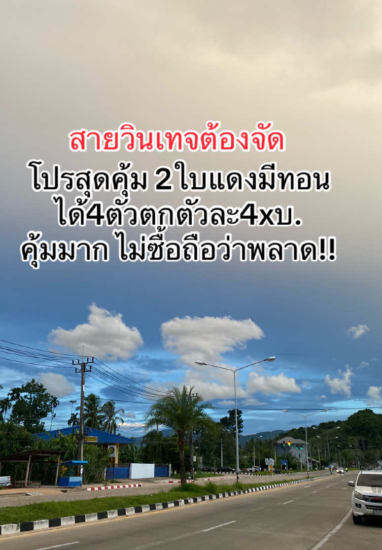 #creatorsearchinsights #เสื้อวินเทจ #เสื้อวินเทจมือ2 #เสื้อวง #เสื้อยืด 