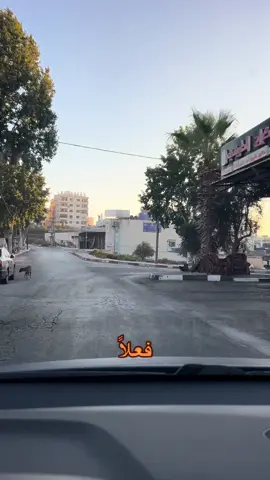 #شوفير_بالوطن_ولا_دكتور_بالغربة #viral #swedan🇸🇪 #fyp #foryou 