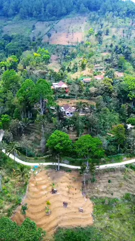 #swun@sjito@smar@panjia#masyarakat@glghombo@ wtm#iki Lo desamu#semoga ttp lestari,,,,,#moso GK fyp