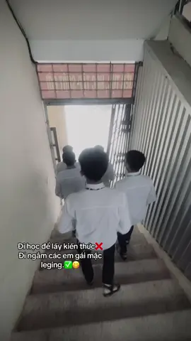 Ngon thíi🤣#xuuhuongggg #hocsinhcap3 #fypシ #xhhh 