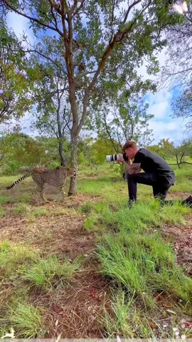 Animals always love photographers #photo #animals #cute #wildlife #usa