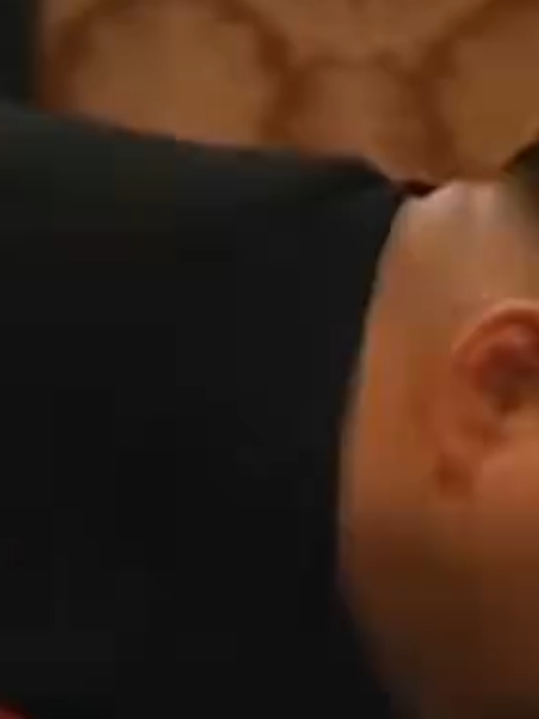 Hay el Amol~   Con gatos jejeje Gatitos :3 #memestiktok #furry #humor