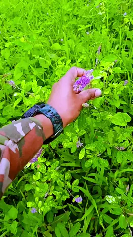 #foryoupageofficiall #unfrezzmyaccount #tiktok #foryou 