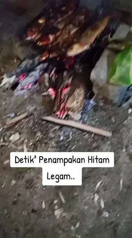 #Segar #segar #segar