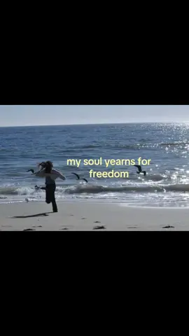 #eunoiiazs #fyp #repost #freedom #real 