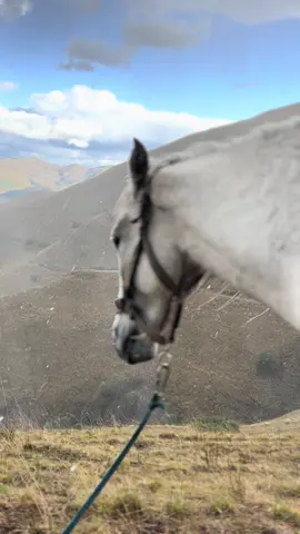 Muğam eşidəndə keçmirsənsə deməli Qocalmısan🥀💔 #kəşfet 