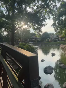 🦆 #wlw 