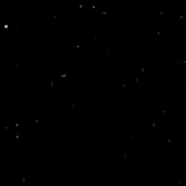 قال الشاعر : #شعر #لا_تحزن_ان_الله_معنا🖤 #كلام_من_ذهب #اكسبلور #fyp 