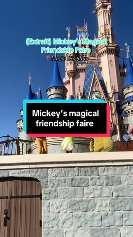 Ce spectacle est joué tous les jours, plusieurs fois par jour, devant le château de Magic Kingdom (Walt Disney World) et permet de voir plusieurs personnages ainsi que Mickey, Minnie, Donald, Daisy et Dingo ✨   #waltdisneyworld #disneyparks #disneytok #magickingdom 