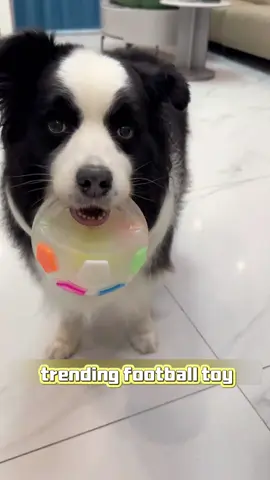 Skip Plush Toys! This TPR Handle Football Is For Chewers—Squeaks All The Way #NoMorePlushWaste #Chewer 