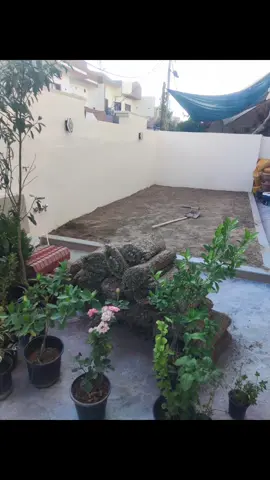 عمل وتصميم الحدائق الداخلية والخارجية  متوفر كادر متخصص بهذا المجال للاستفسار 07708243525 /07508580885  او زيارتنا في حي العربي مقابل بيتزا يمي  مشتا توكلنا على الله  #موصل #حدائق_داخلية #حدائق_المنازل #مشتل #ديكور 