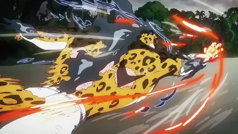 Zoro vs lucci #onepiece #animeedit #fyp #zoro 