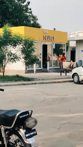🦁🚀