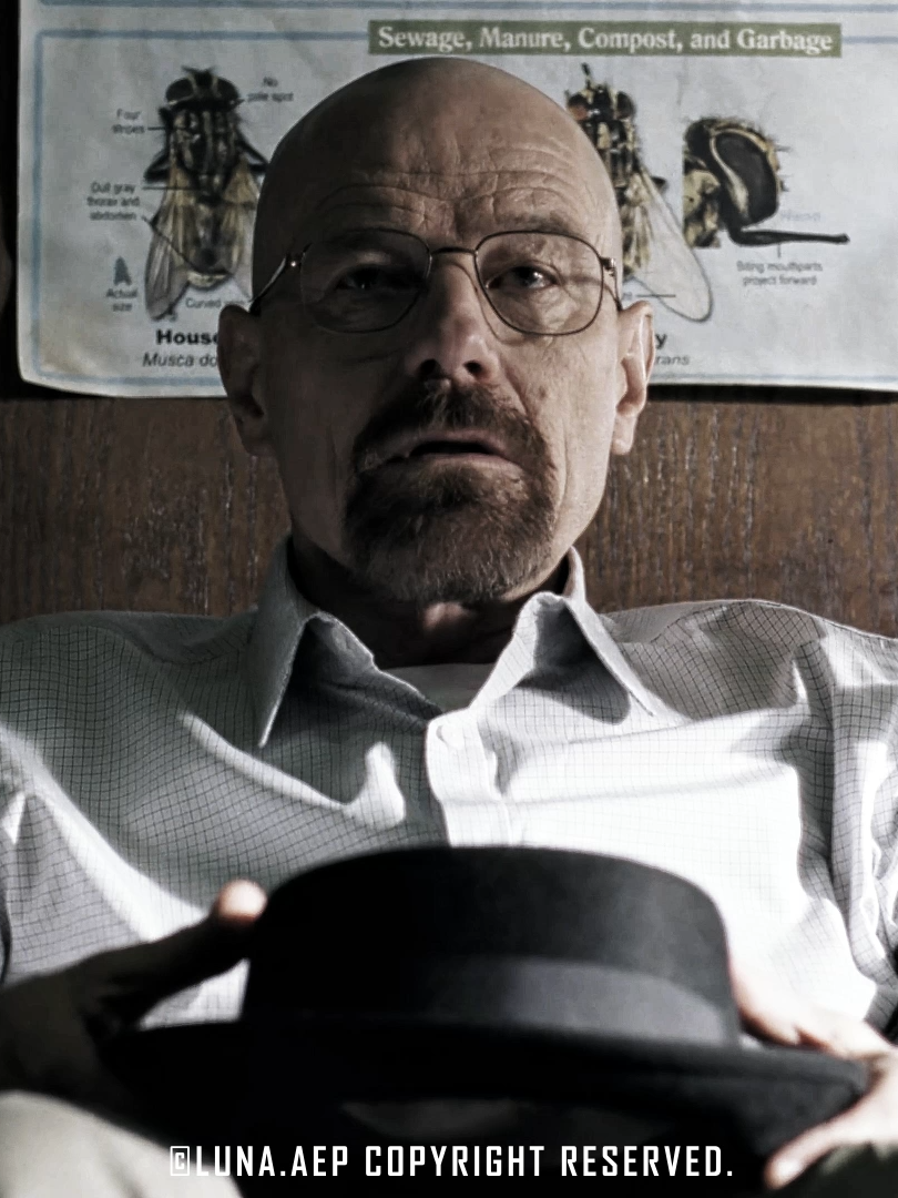 nothing stops this train #walterwhite #breakingbad #aftereffects #edit #viral #fyp