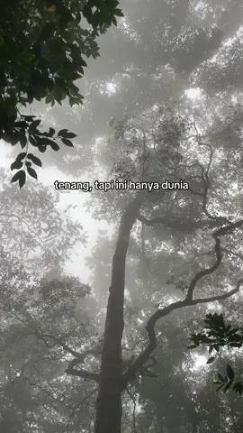 📍Gunung seulawah Agam, Aceh Besar, Aceh #pendakiaceh #wisataaceh #wisataacehbesar #acehbesar #masukbranda 