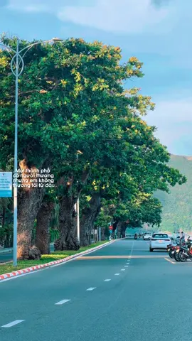 Bạn có luỵ khung cảnh yên bình của Côn Đảo như tớ không 📸🫶🏻 #CapCut #dulichcondao #cônđảo #reviewcondao #thinhhanh 