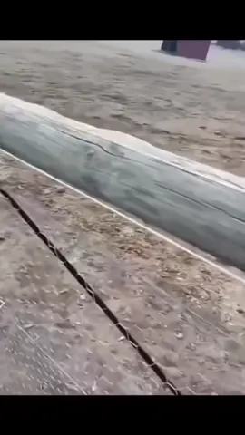 🤨 đum đúm???! #meme #j97 